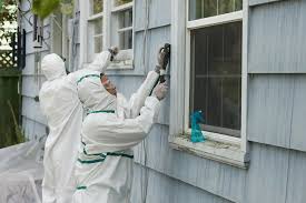 Lead Based Paint Inspection Washington DC