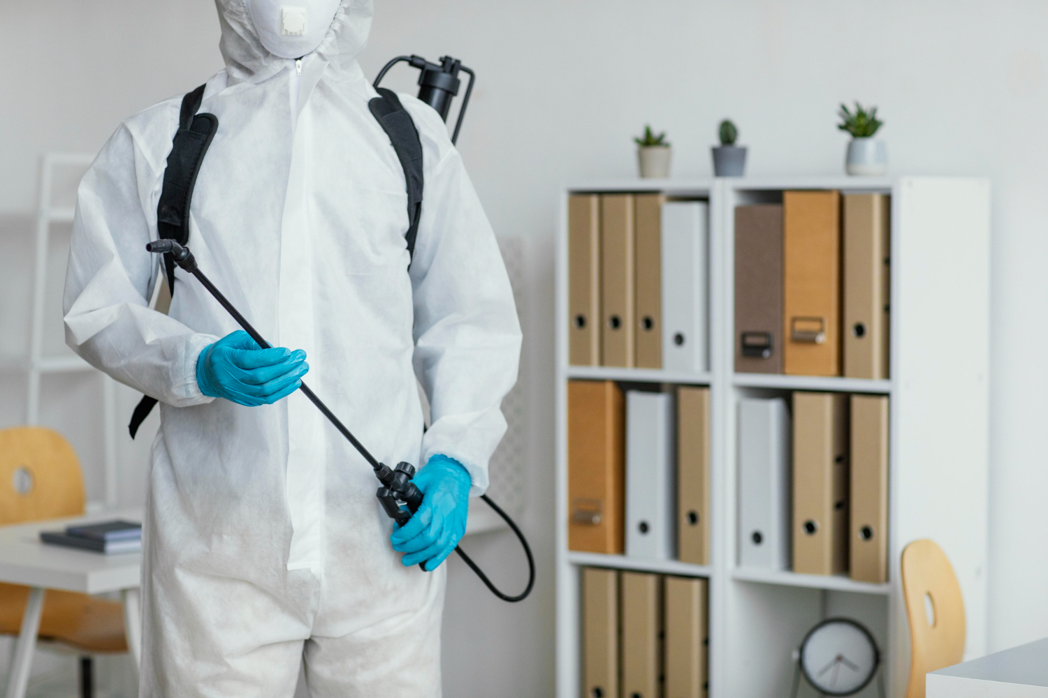 How to Find Local Exterminators and Reliable Pest Control Services in Gainesville