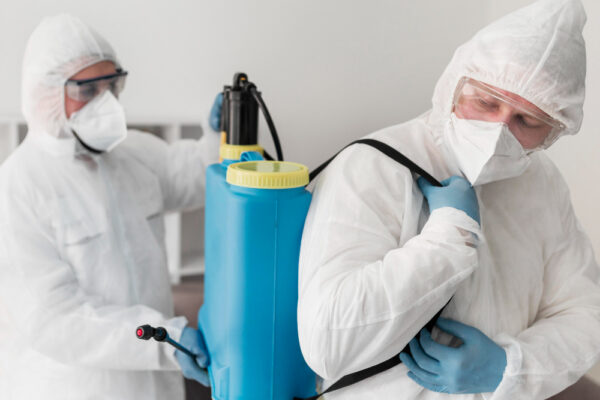 Pest Control in Vaughan – Safe Home’s Trusted Solutions for Homes & Businesses pest control