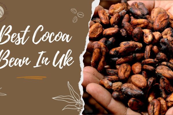 How Faustin Great Agro Maintains Quality in the Best Cocoa Bean in UK best cocoa bean in uk