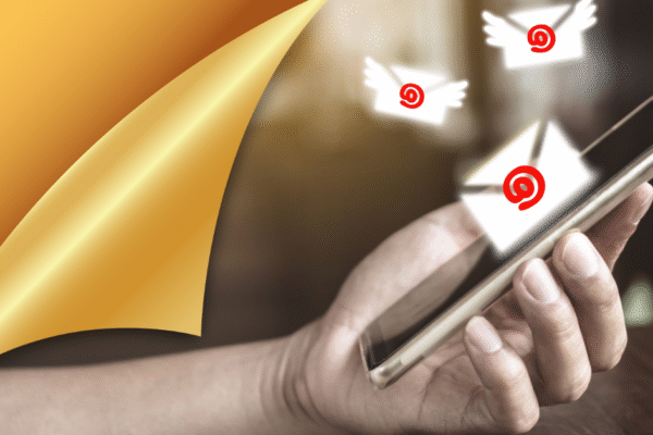South Africa Email List: Unlocking New Opportunities for Business Growth