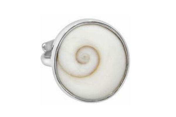 Gomti Chakra for Peace, Wealth, and Spiritual Growth Gomti Chakra