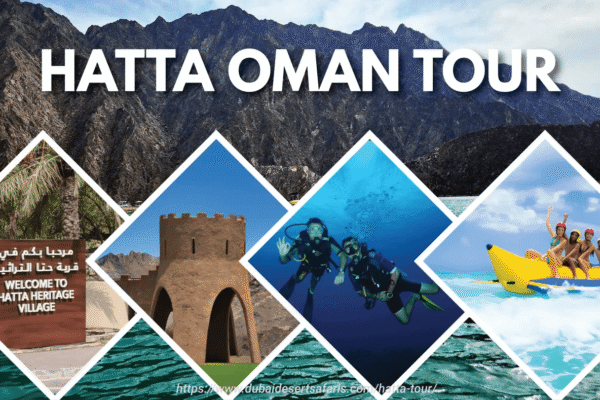 Amazing Reasons to Choose Hatta Tour Dubai Hatta tour