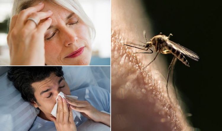 Malaria-Symptoms