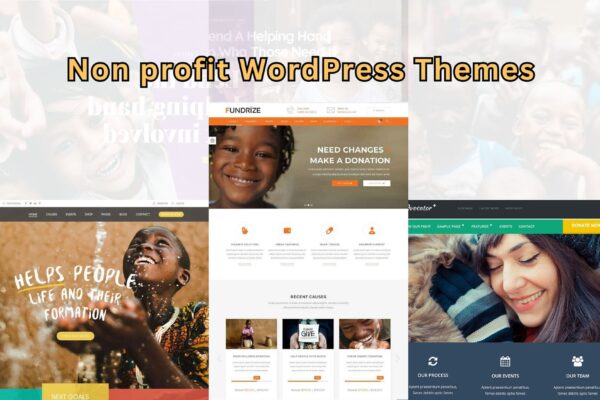 Which Non Profit WordPress Themes Can Boost Your Cause?