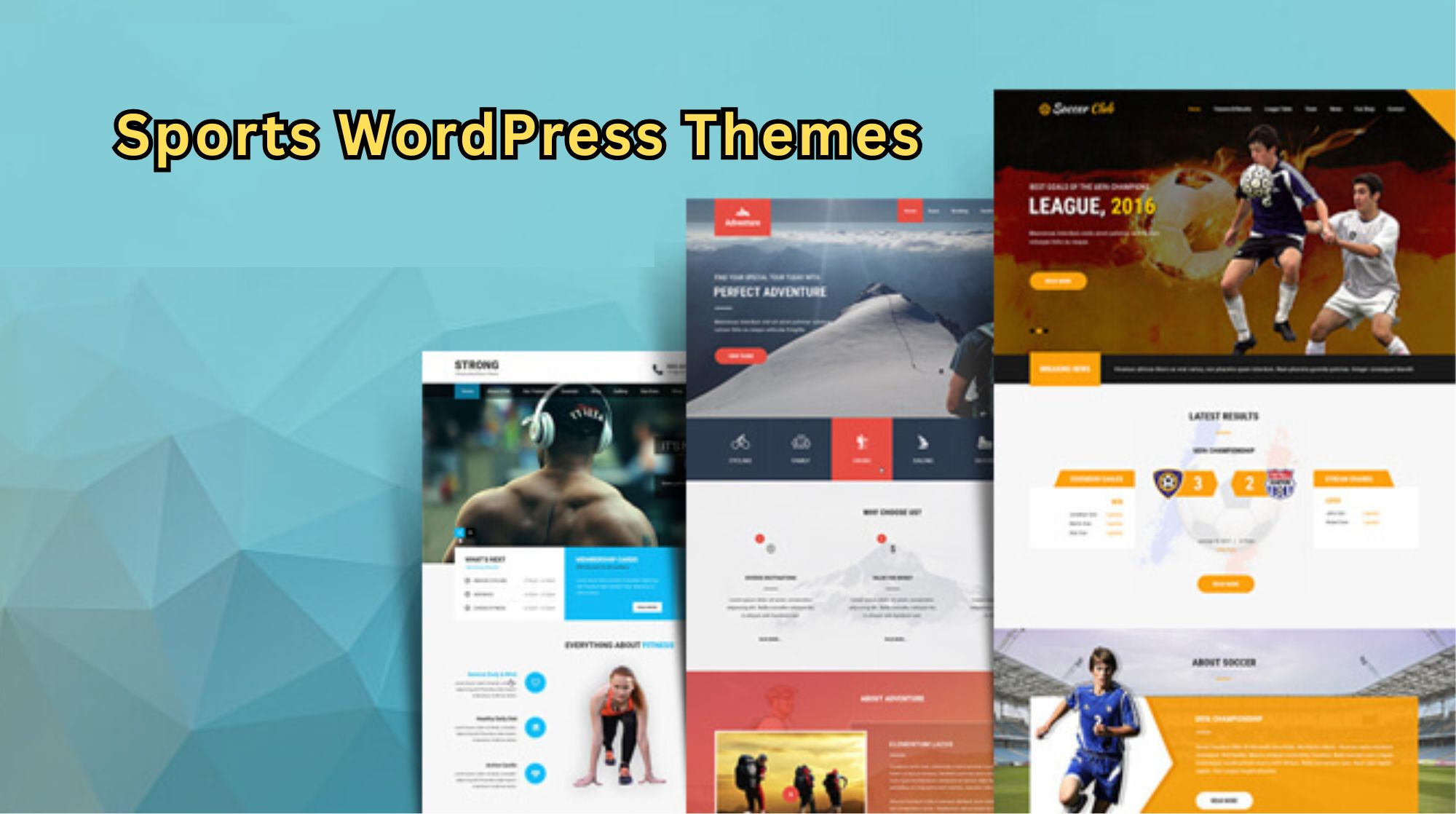 Which Sports WordPress Themes Are Best for Your Website?