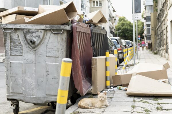 Guest Post: Revolutionizing Dog Waste Management with GoGoStik Guest Post: Revolutionizing Dog Waste Management with GoGoStik
