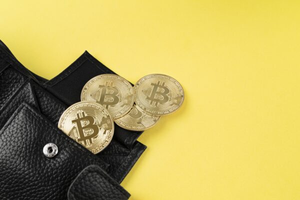Best Crypto Cold Wallet – Securing Your Digital Assets best crypto cold wallet