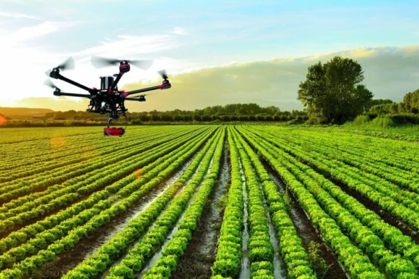 10 Sustainable Agriculture Farming Practices for Healthy Soil Growth Sustainable Agriculture Farming