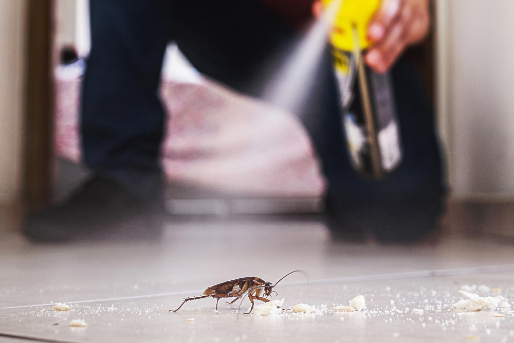 pest control