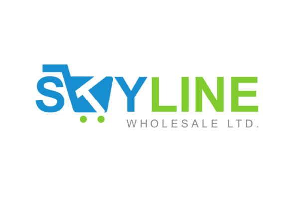 Affordable and Accessible Wholesale Dental Supplies – Skyline Wholesale Skyline Wholesale dental supplies