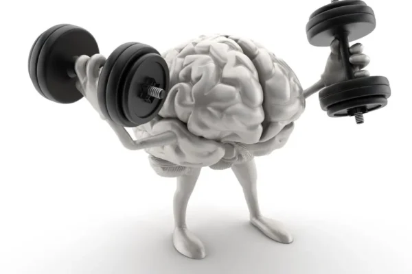 Smart Lifestyle Choices for Students: Food, Exercise, and the Role of Neuroxen Neuroxen brain health