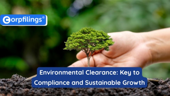 Environmental Clearance: A Complete Guide for Businesses