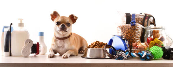7 Pet Products That Will Make Your Life So Much Easier