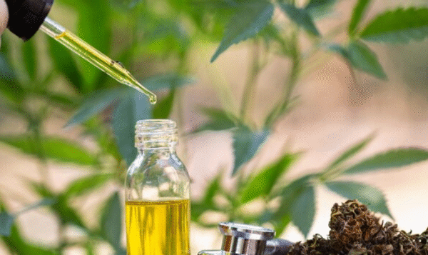 Why Hemp is the Future of Eco-Friendly Consumer Goods