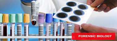 Forensic Biology and Serology in India – A Fondelco Insight Forensic Biology and Serology in India