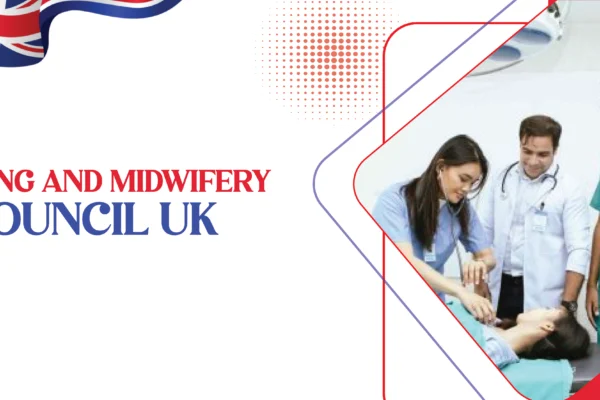 What is the Nursing and Midwifery Council in the UK? What is the Nursing and Midwifery Council in the UK