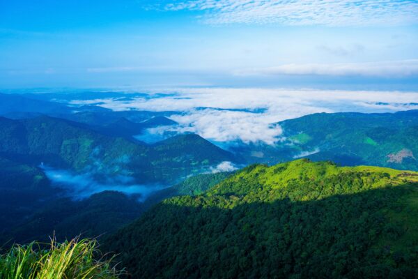 Misty Escapes: Hill Stations in Kerala That Redefine Serenity