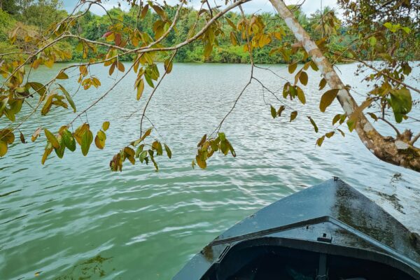 Kerala Backwater Tours: A Soulful Journey Through God’s Own Waterways