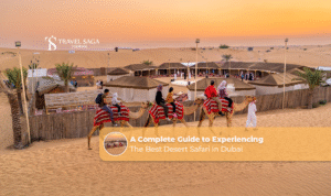 image-A-Complete-Guide-to-Experiencing-the-Best-Desert-Safari-in-Dubai