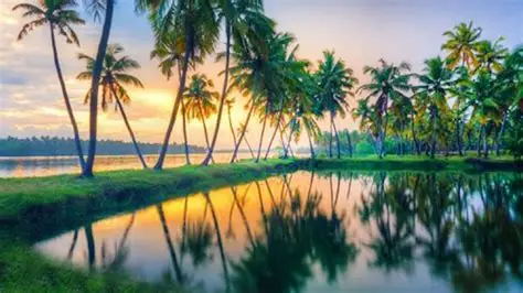 Kerala Backwater Tours: A Serene Journey Through Nature’s Liquid Labyrinth