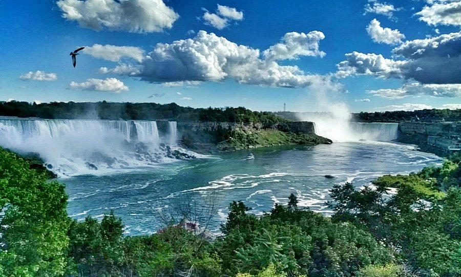 Niagara Falls Bus Tour
