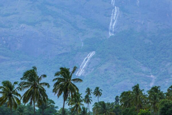 Kerala Tourism: A Soulful Journey Through Nature, Culture, and Wellness