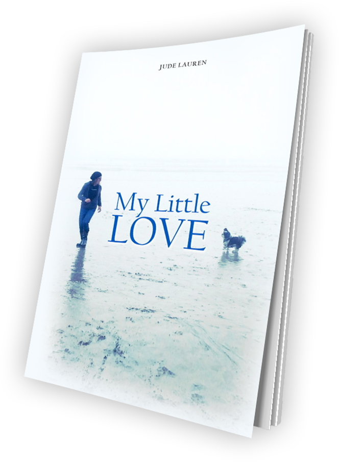 My Little Love Book by Author Jude Lauren