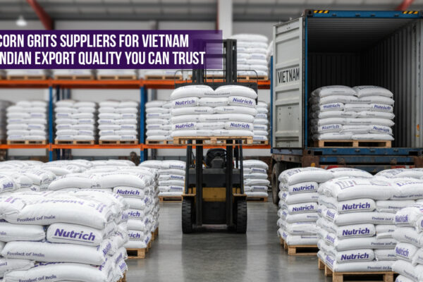Corn Grits Suppliers for Vietnam