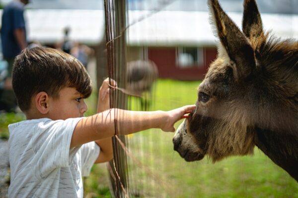 kids animal welfare